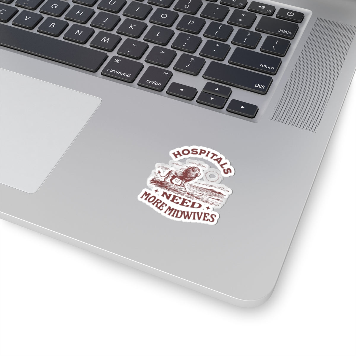 Hospitals Need More Midwives Lion Midwife Sticker