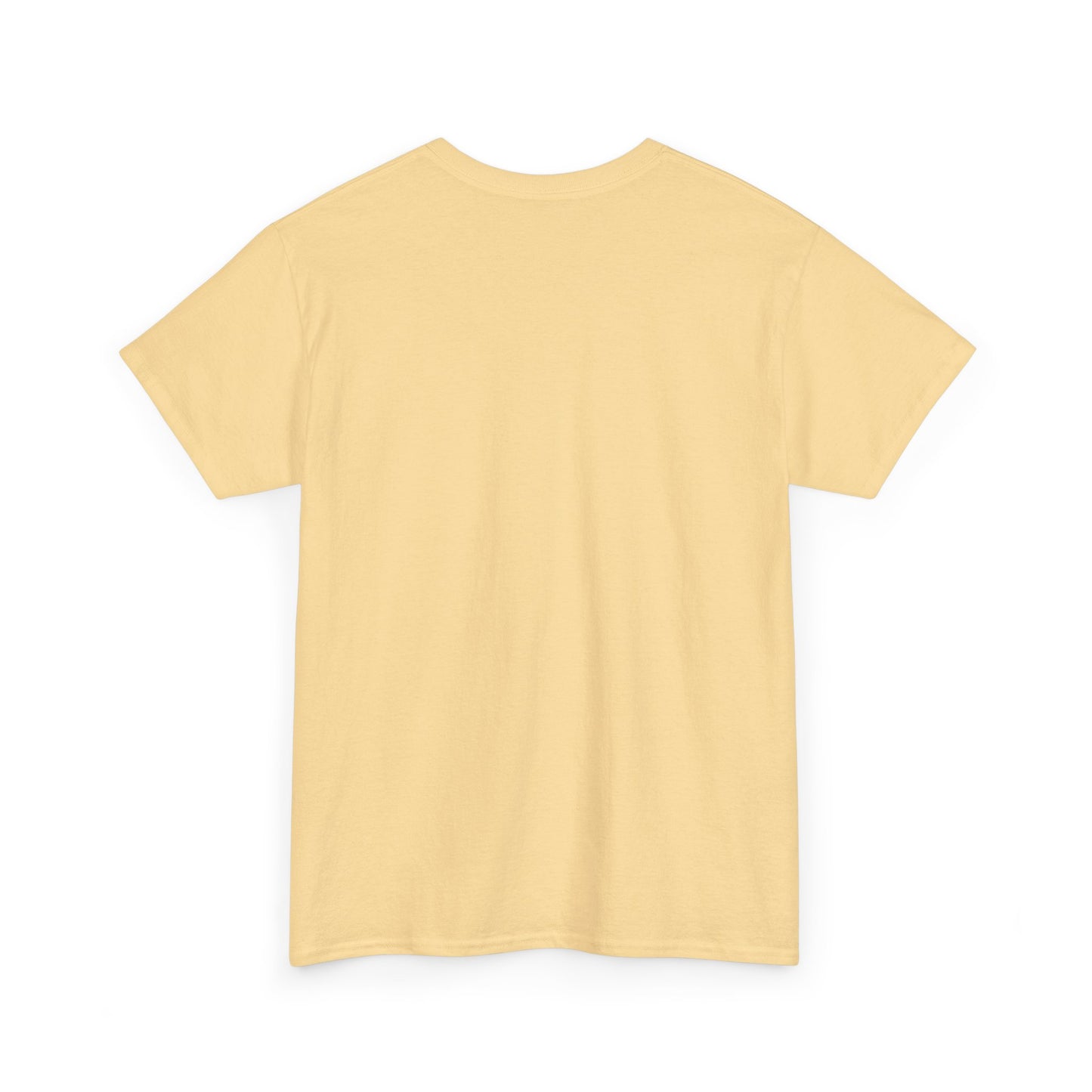 Hospitals Need More Midwives Lion T-shirt