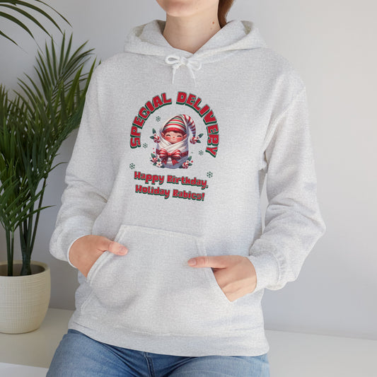 Special Delivery Holiday Baby Elf Hoodie Sweatshirt