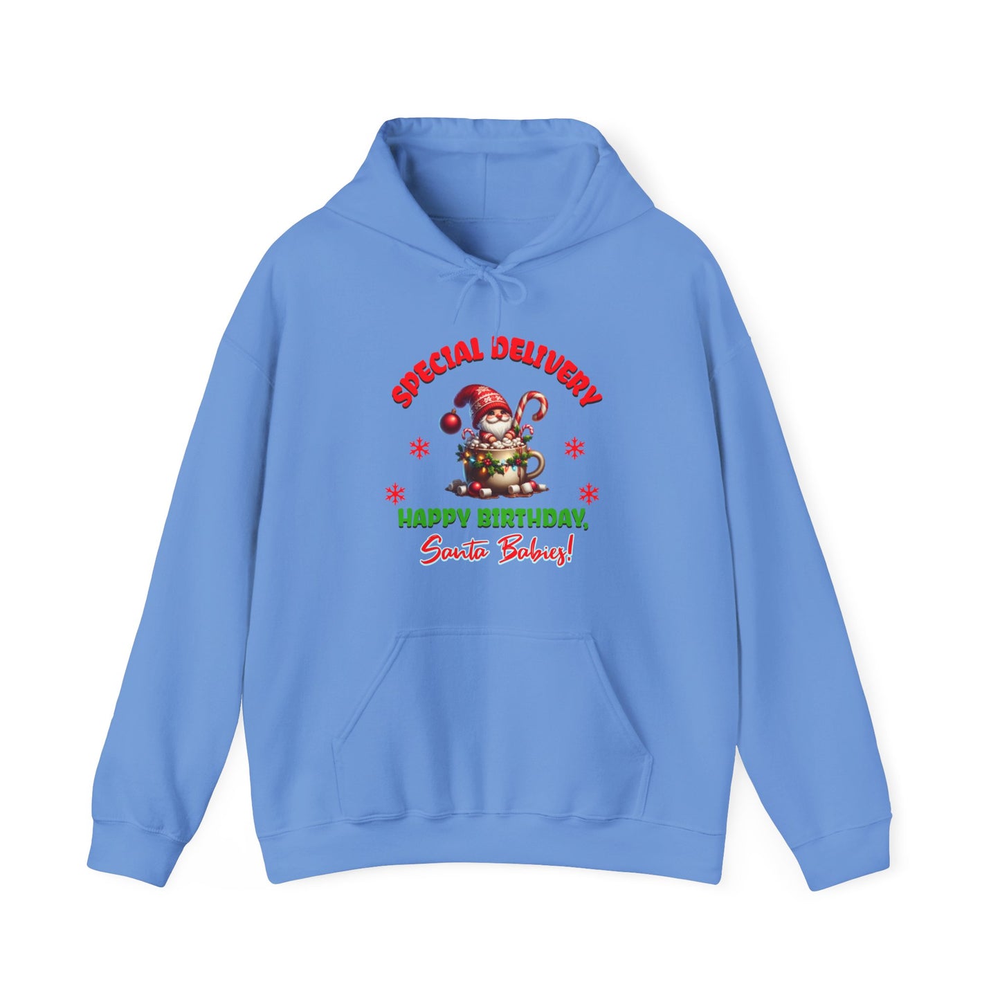 Special Delivery Santa Babies Hoodie Sweatshirt