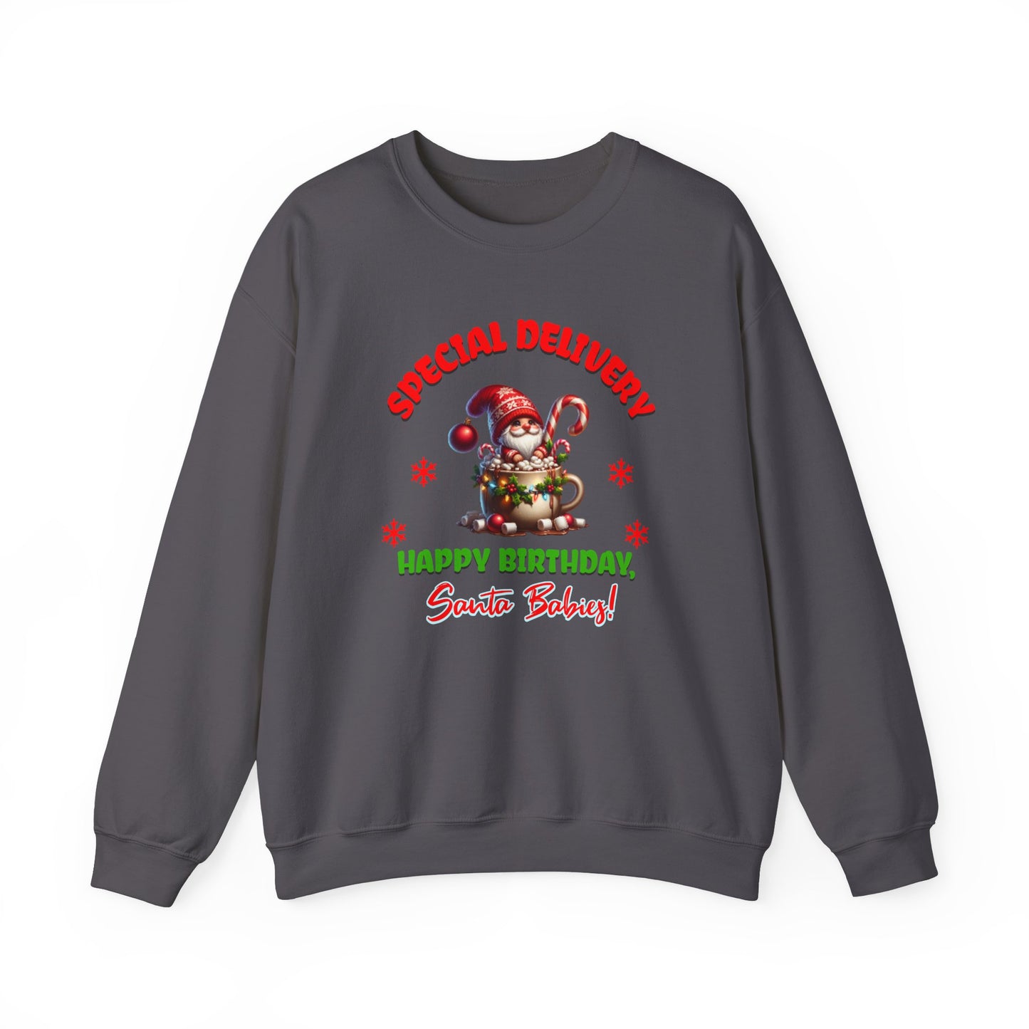 Special Delivery Holiday Babies Santa Sweatshirt