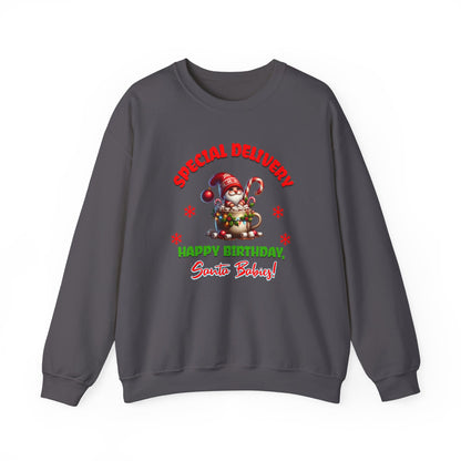 Special Delivery Holiday Babies Santa Sweatshirt