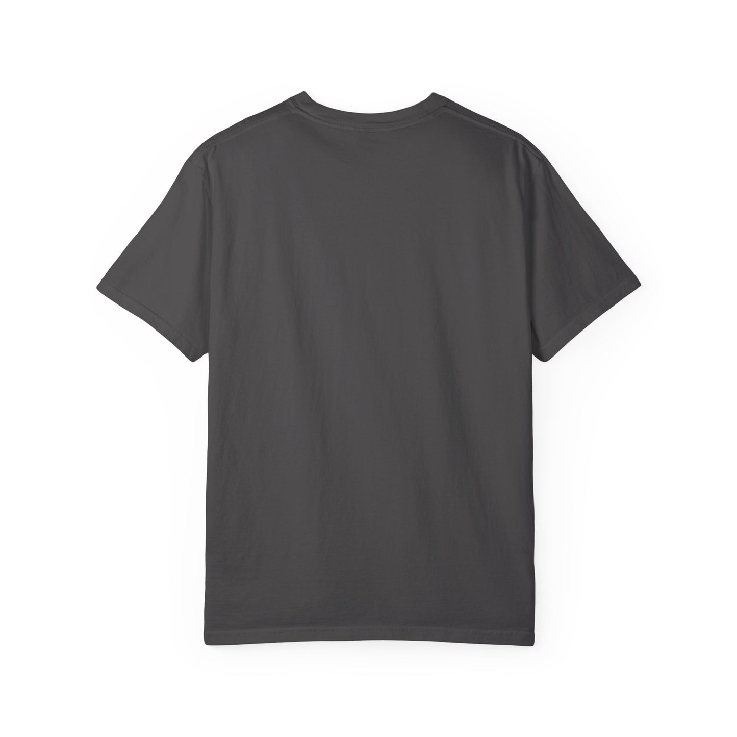 Midwives Support Birth Phoenix Midwife T-shirt