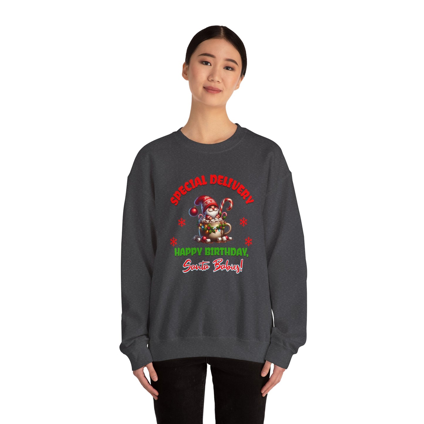 Special Delivery Holiday Babies Santa Sweatshirt