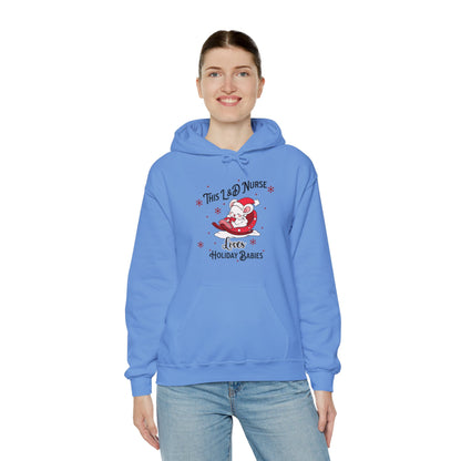 L&D Nurse Loves Holiday Babies Sleigh / Hoodie Sweatshirt