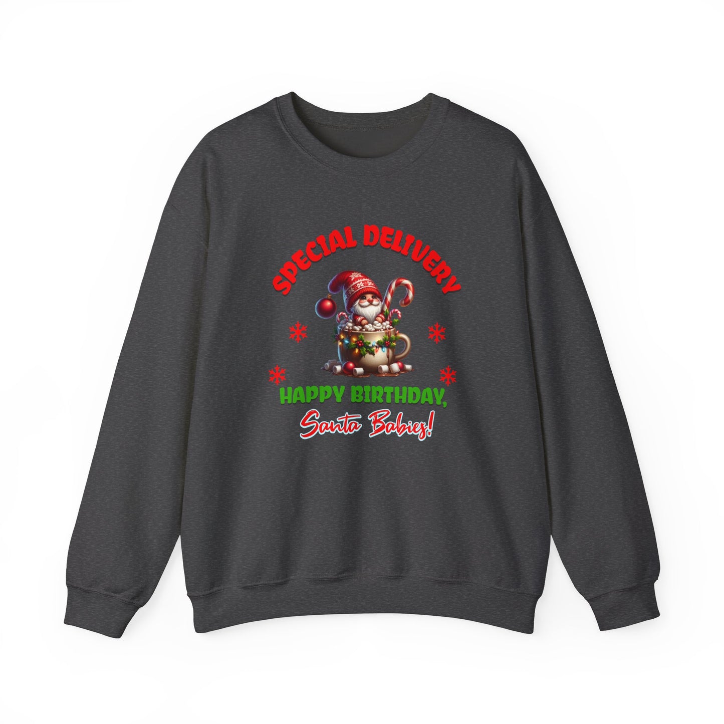 Special Delivery Holiday Babies Santa Sweatshirt