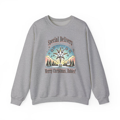 Special Delivery Merry Christmas Babies Sweatshirt