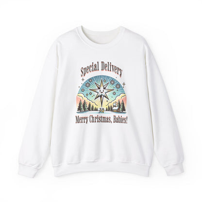 Special Delivery Merry Christmas Babies Sweatshirt