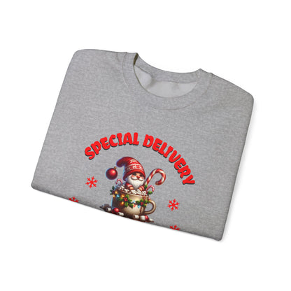 Special Delivery Holiday Babies Santa Sweatshirt