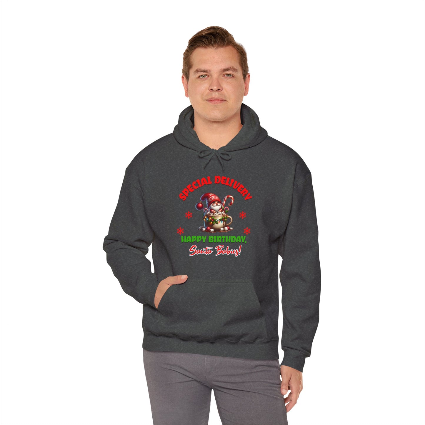 Special Delivery Santa Babies Hoodie Sweatshirt