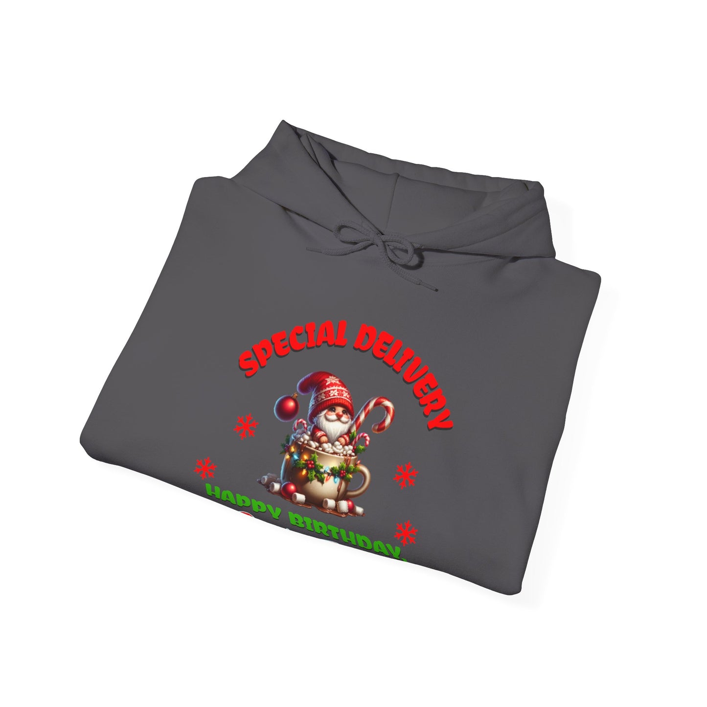 Special Delivery Santa Babies Hoodie Sweatshirt