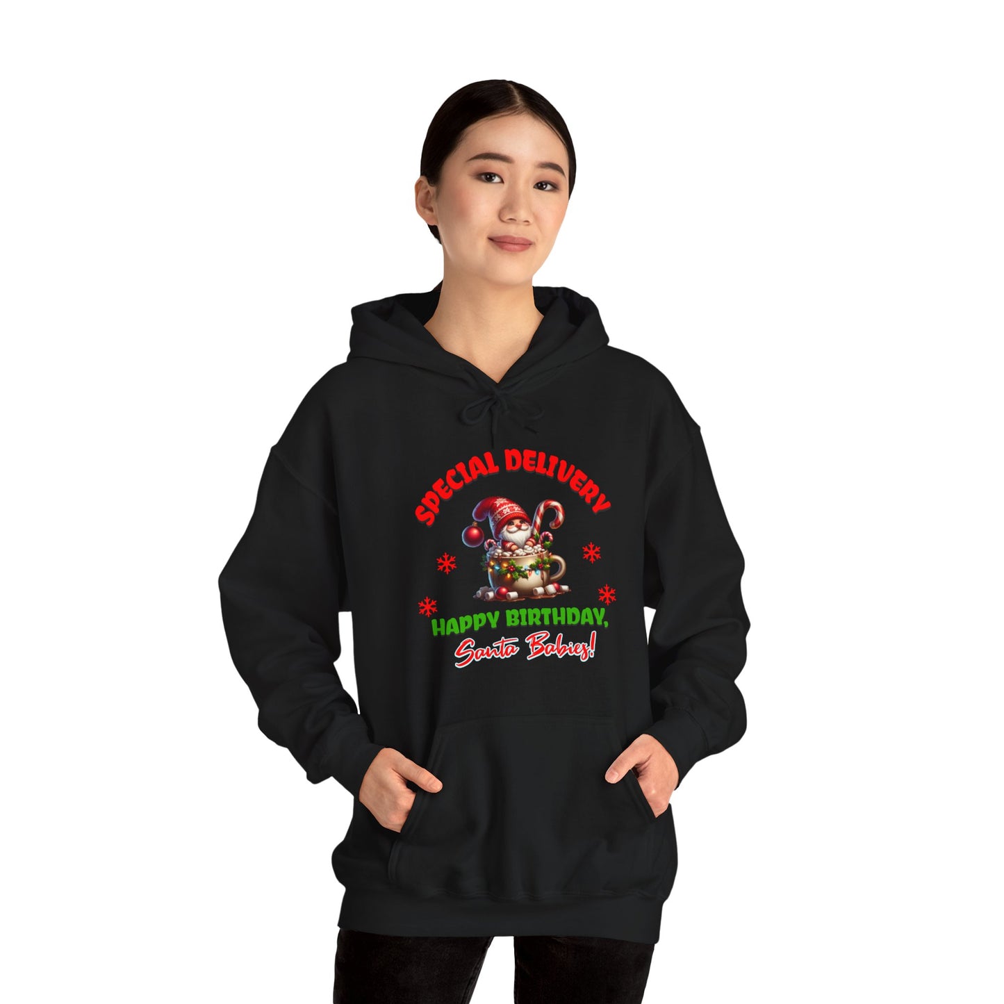 Special Delivery Santa Babies Hoodie Sweatshirt