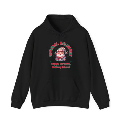 Special Delivery Holiday Baby Elf Hoodie Sweatshirt