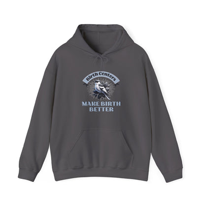 Birth Centers Make Birth Better - Banner Hoodie Sweatshirt