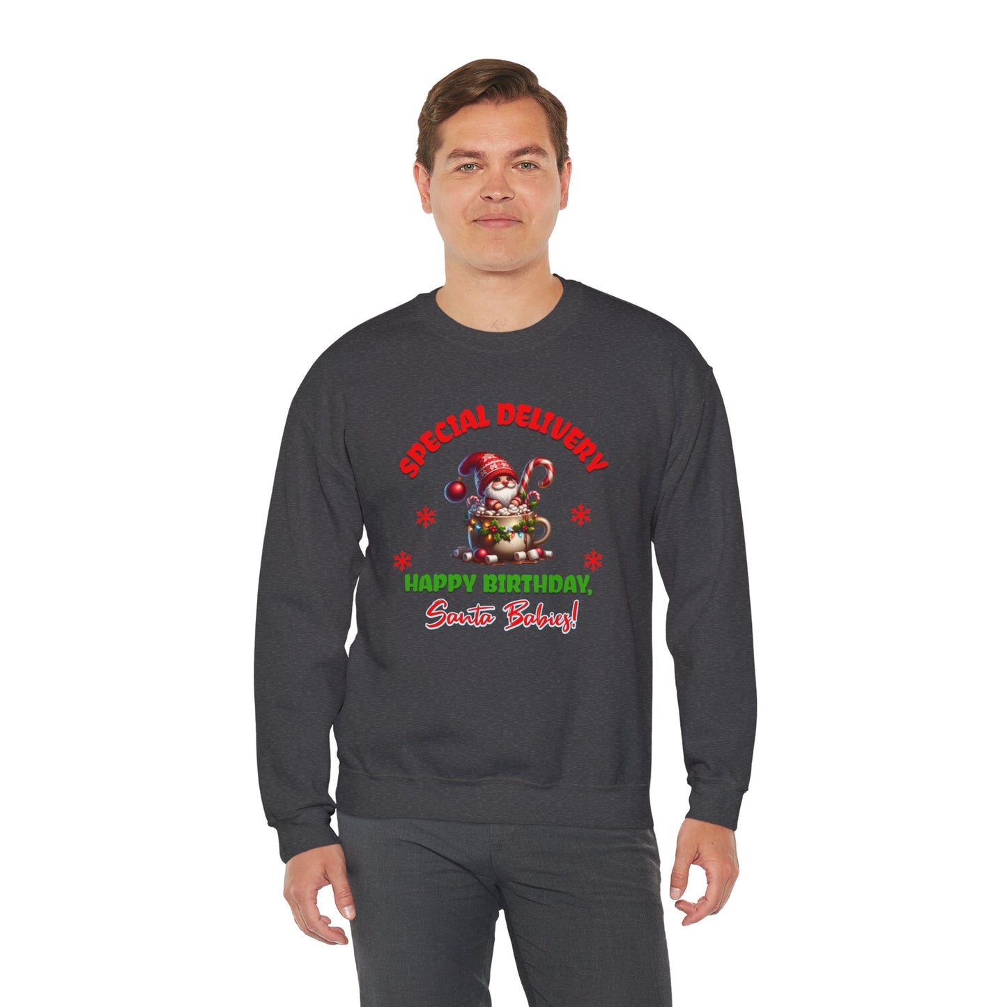 Special Delivery Holiday Babies Santa Sweatshirt