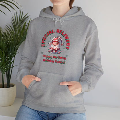 Special Delivery Holiday Baby Elf Hoodie Sweatshirt