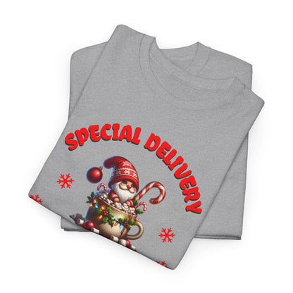 Special Delivery Santa Babies T-shirt