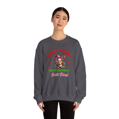 Special Delivery Holiday Babies Santa Sweatshirt