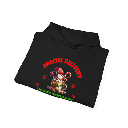 Special Delivery Santa Babies Hoodie Sweatshirt