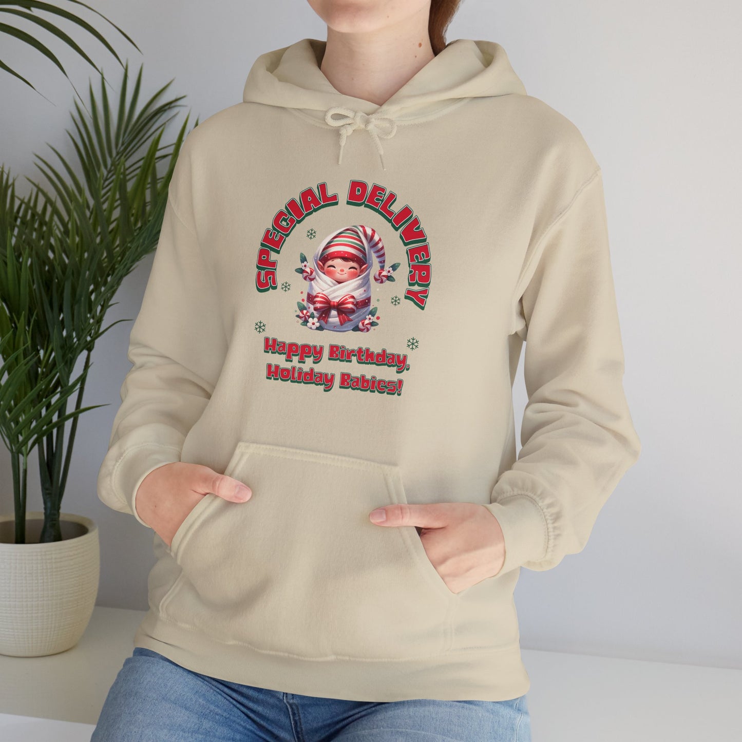 Special Delivery Holiday Baby Elf Hoodie Sweatshirt