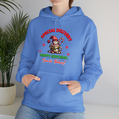 Special Delivery Santa Babies Hoodie Sweatshirt