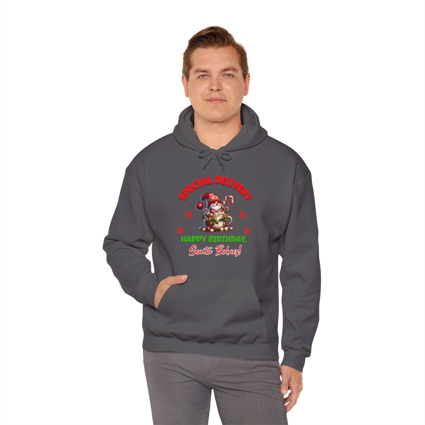 Special Delivery Santa Babies Hoodie Sweatshirt