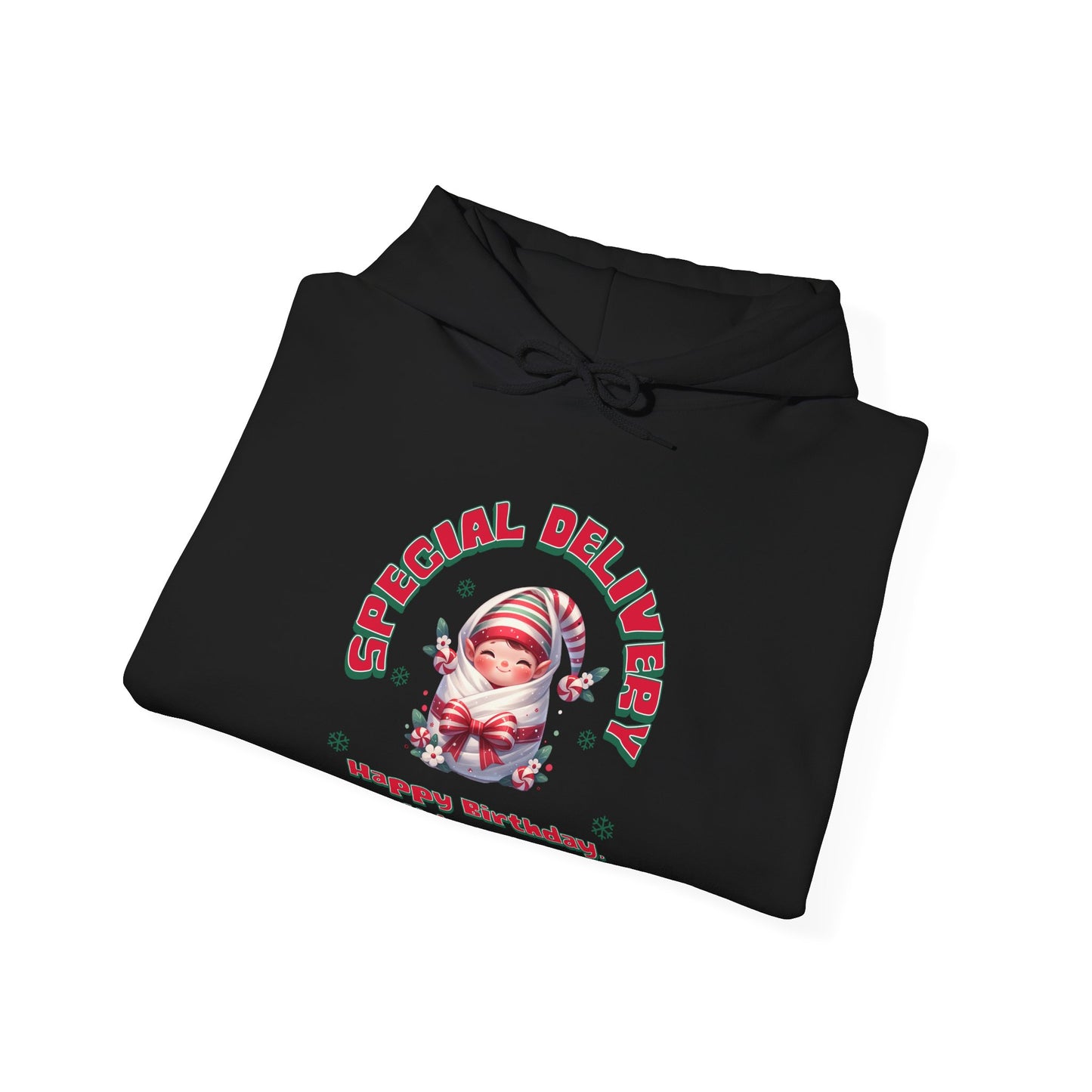 Special Delivery Holiday Baby Elf Hoodie Sweatshirt