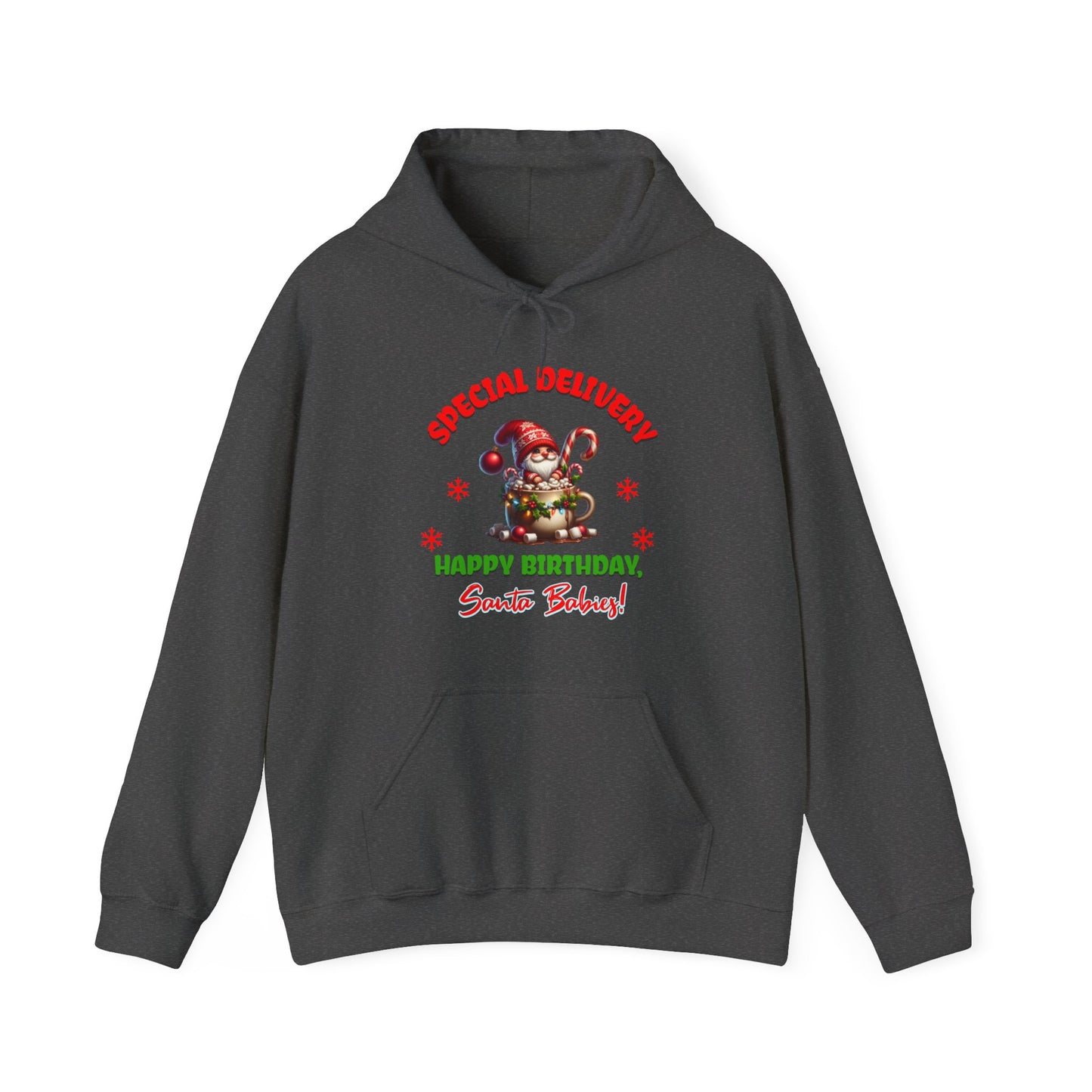 Special Delivery Santa Babies Hoodie Sweatshirt