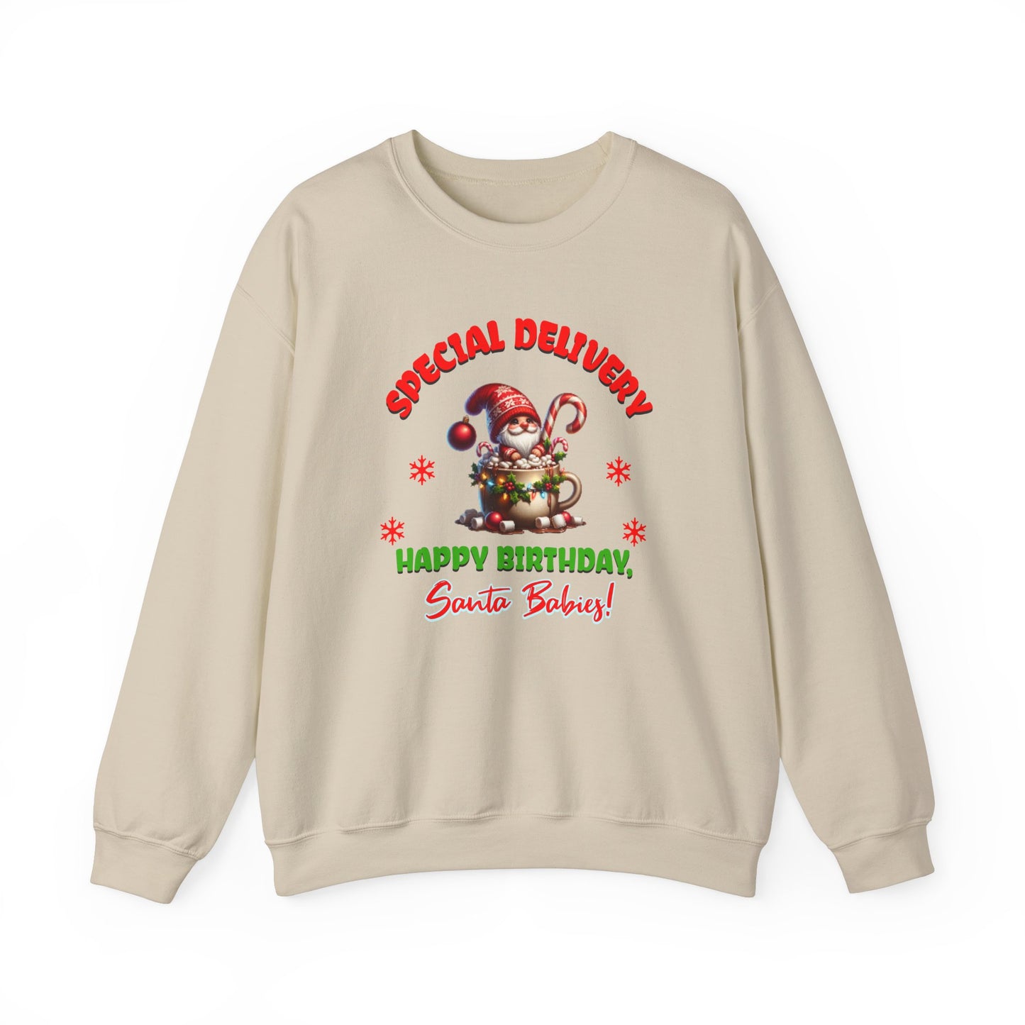 Special Delivery Holiday Babies Santa Sweatshirt