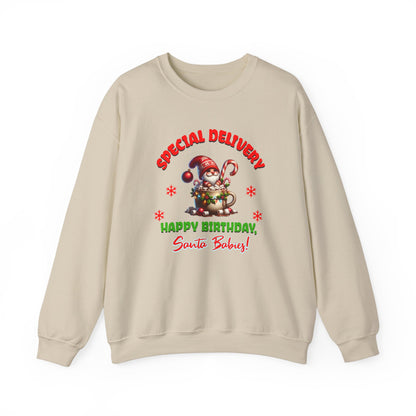 Special Delivery Holiday Babies Santa Sweatshirt