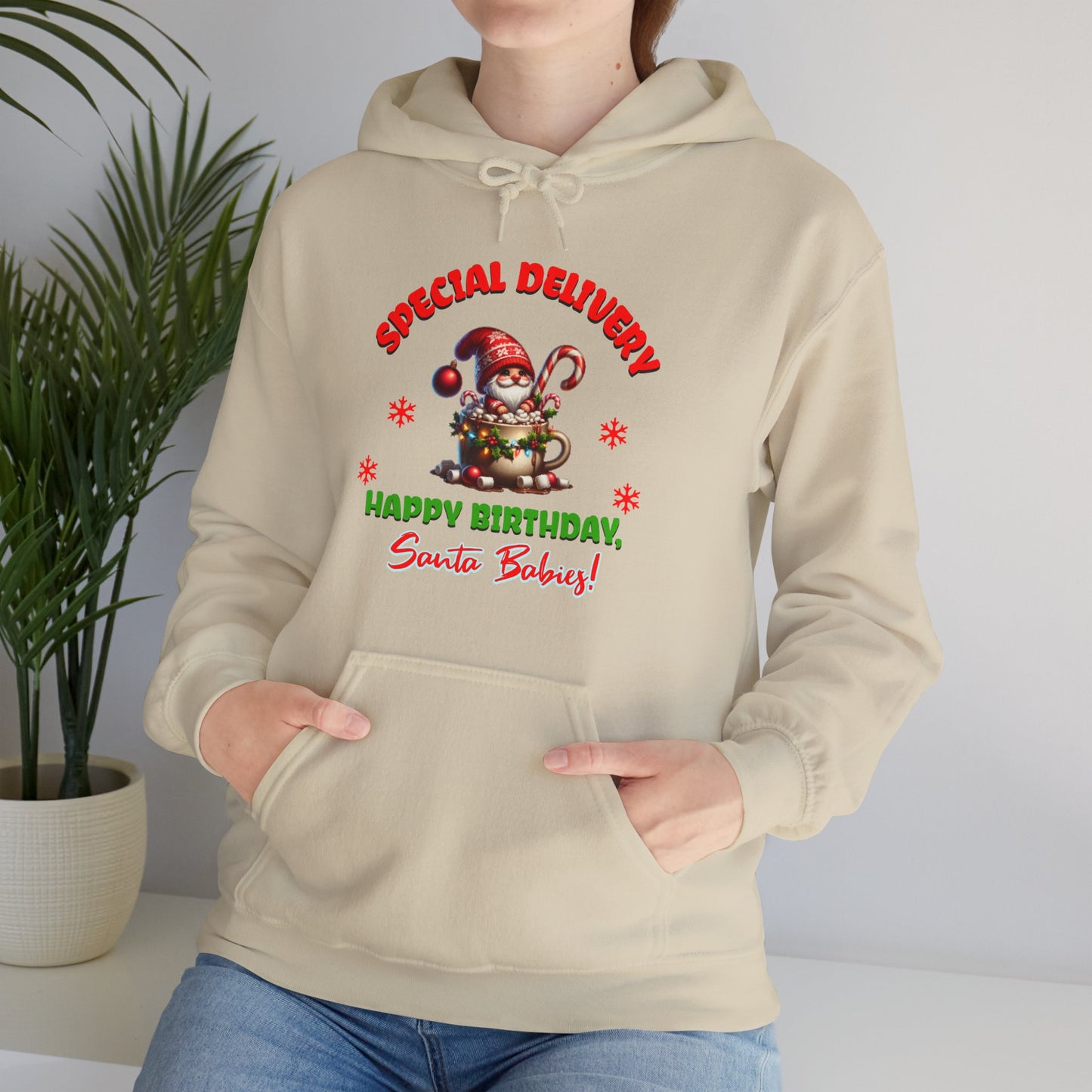 Special Delivery Santa Babies Hoodie Sweatshirt