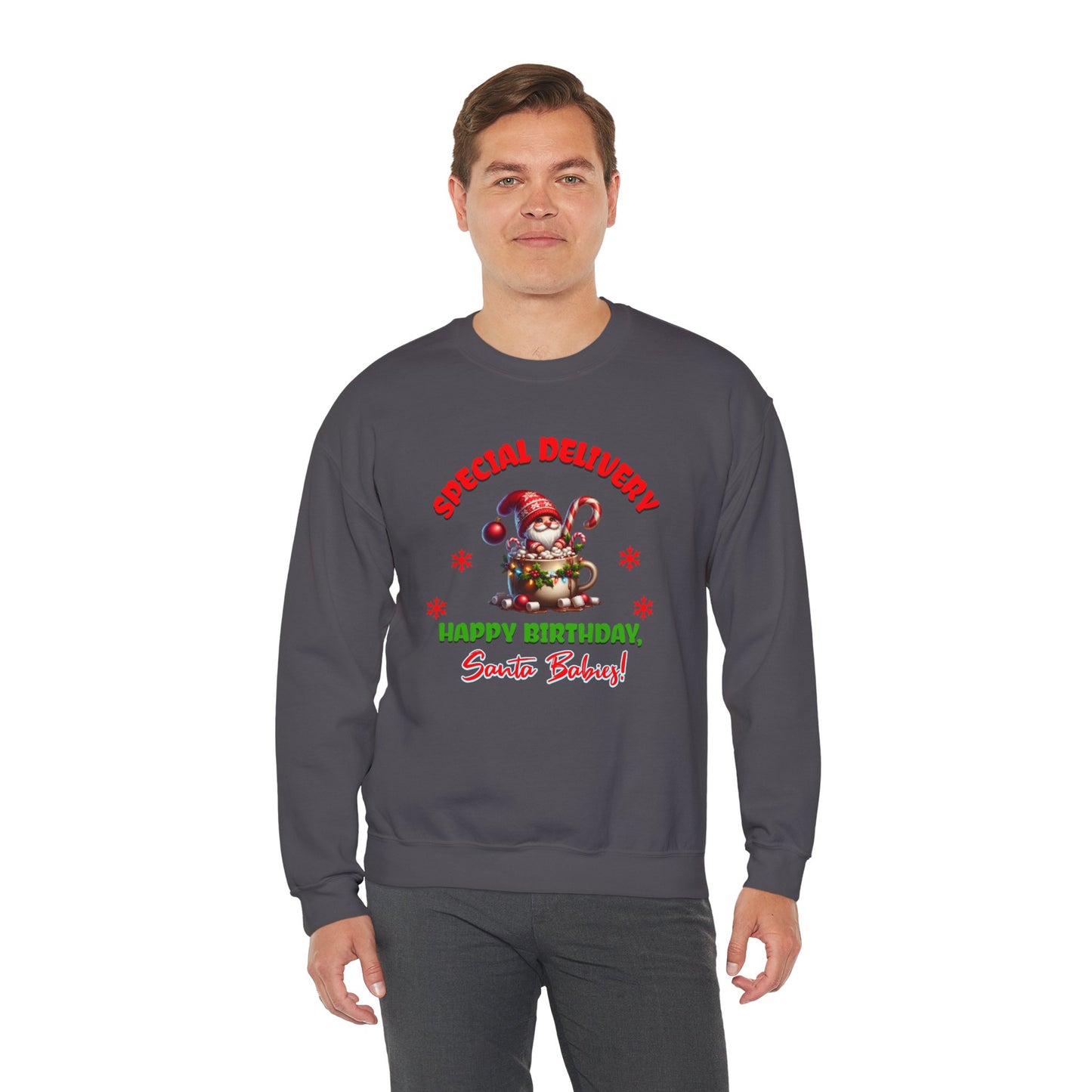 Special Delivery Holiday Babies Santa Sweatshirt