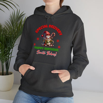 Special Delivery Santa Babies Hoodie Sweatshirt