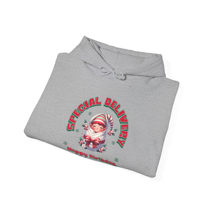 Special Delivery Holiday Baby Elf Hoodie Sweatshirt