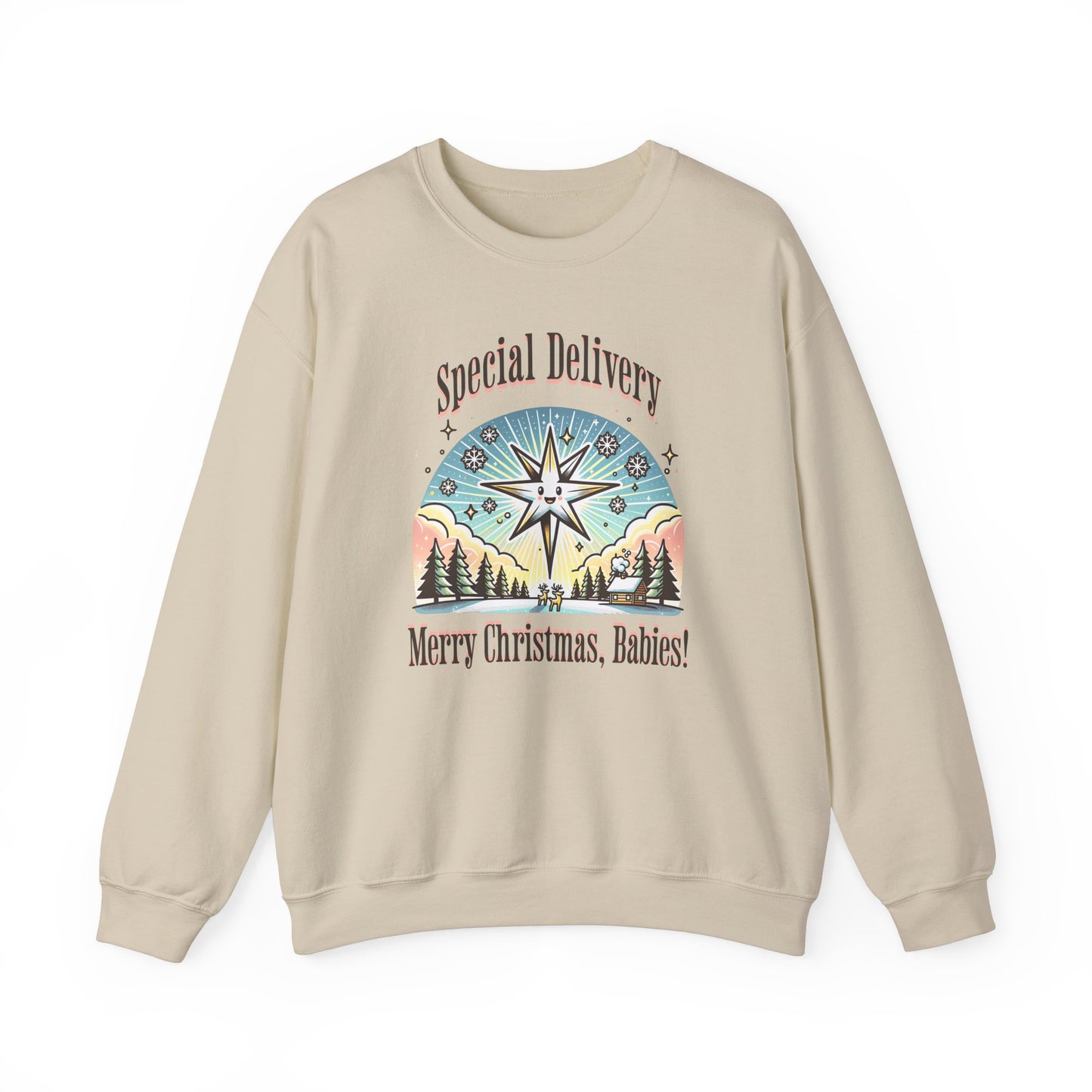 Special Delivery Merry Christmas Babies Sweatshirt