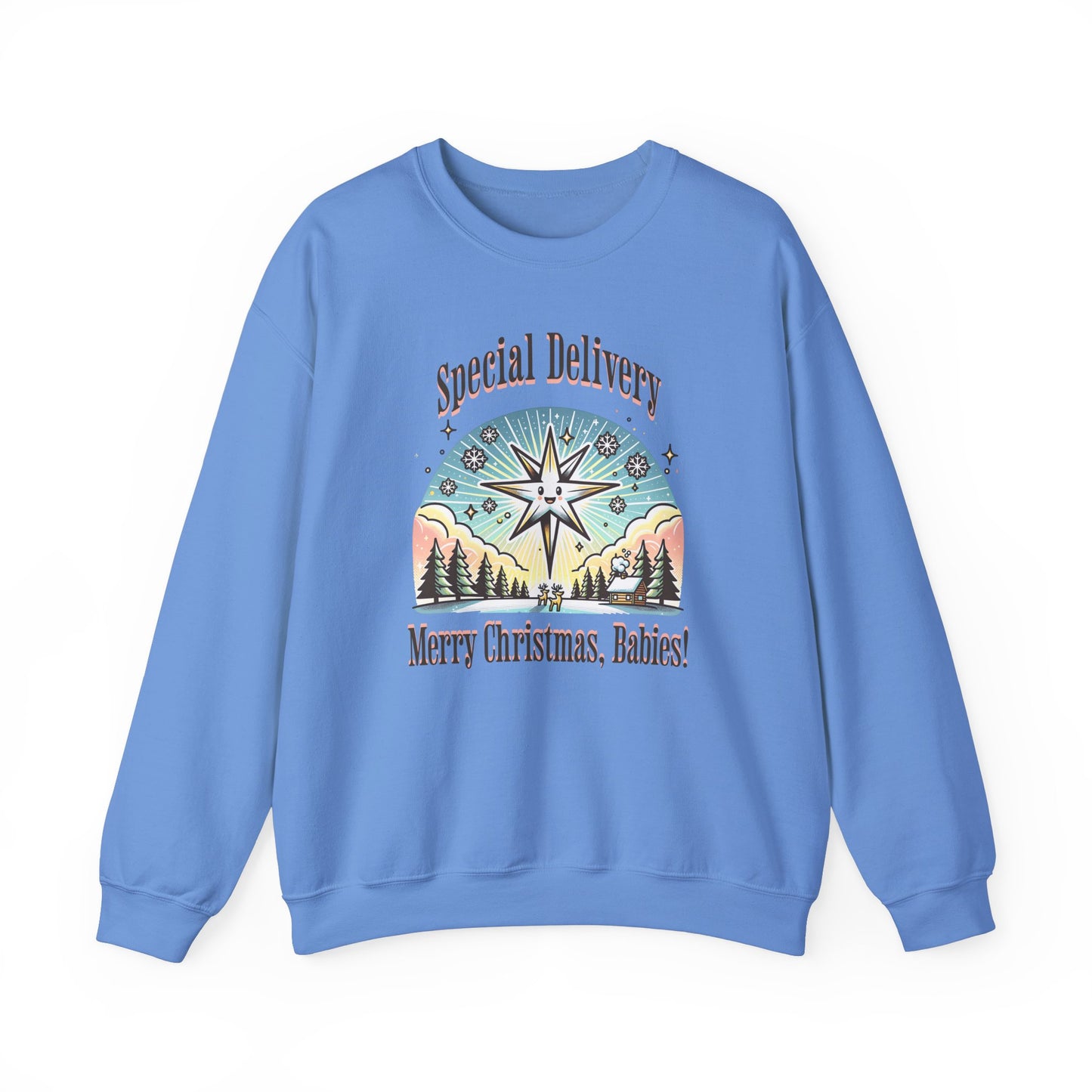 Special Delivery Merry Christmas Babies Sweatshirt