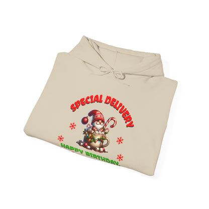 Special Delivery Santa Babies Hoodie Sweatshirt