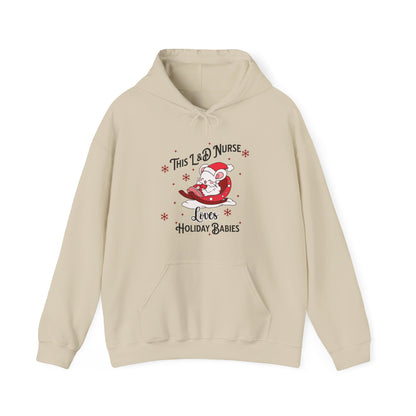 L&D Nurse Loves Holiday Babies Sleigh / Hoodie Sweatshirt