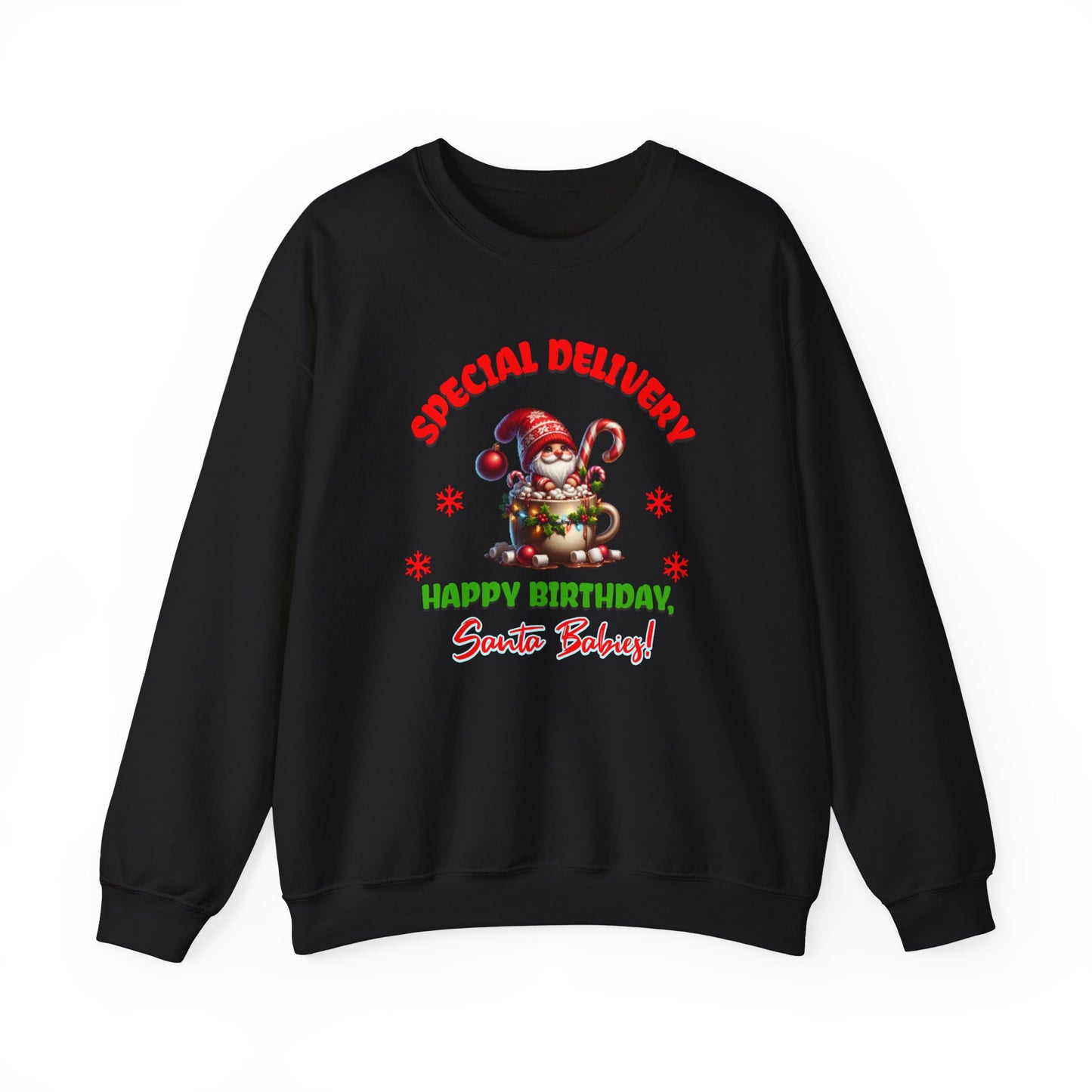 Special Delivery Holiday Babies Santa Sweatshirt