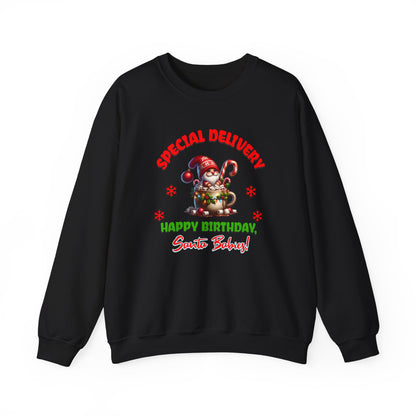 Special Delivery Holiday Babies Santa Sweatshirt