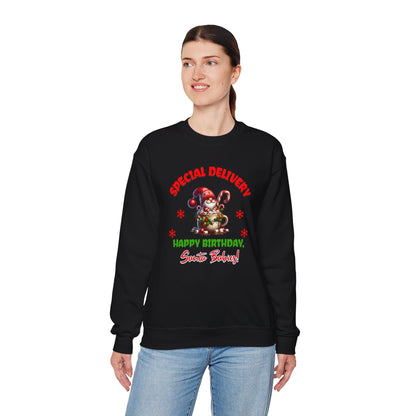 Special Delivery Holiday Babies Santa Sweatshirt