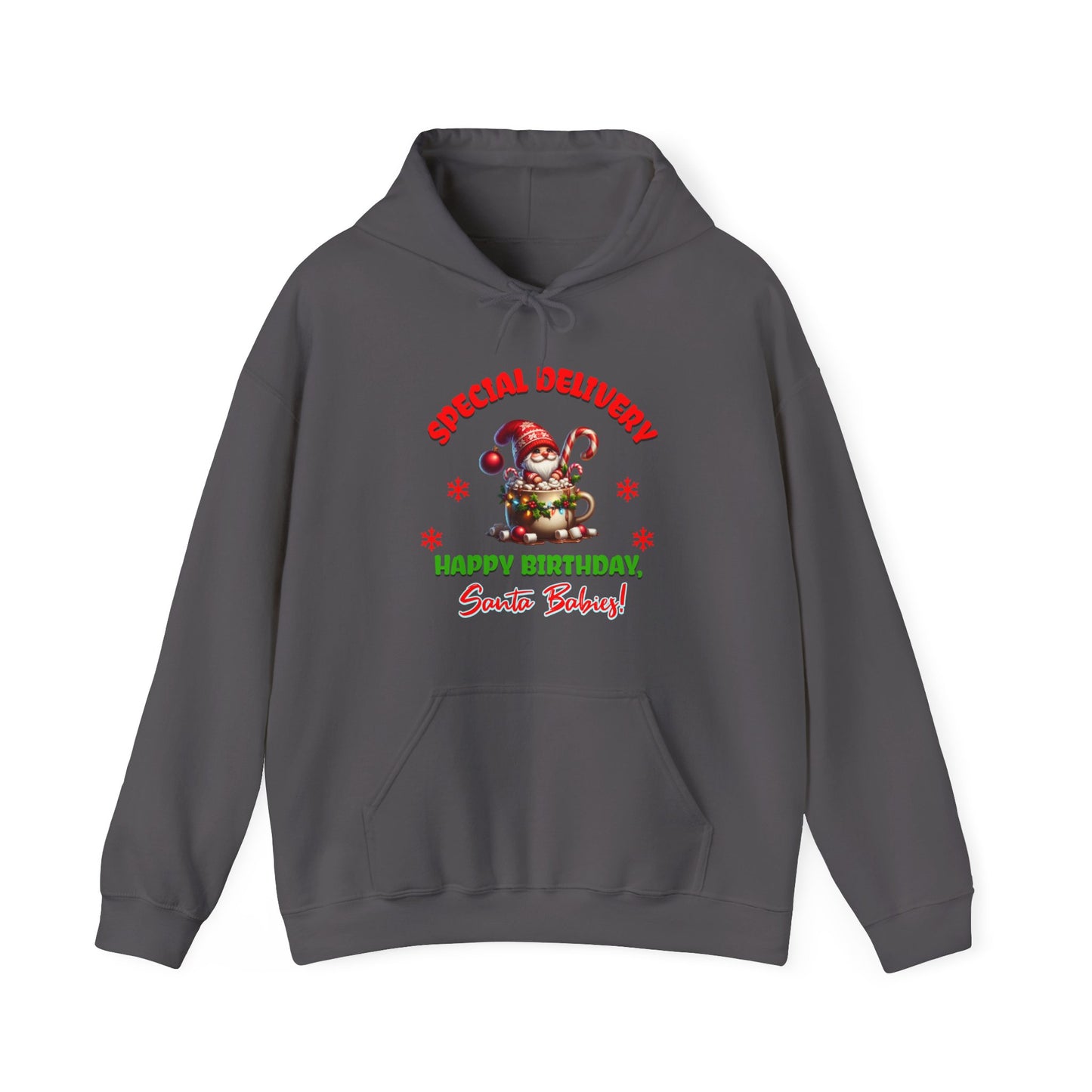 Special Delivery Santa Babies Hoodie Sweatshirt