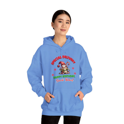 Special Delivery Santa Babies Hoodie Sweatshirt