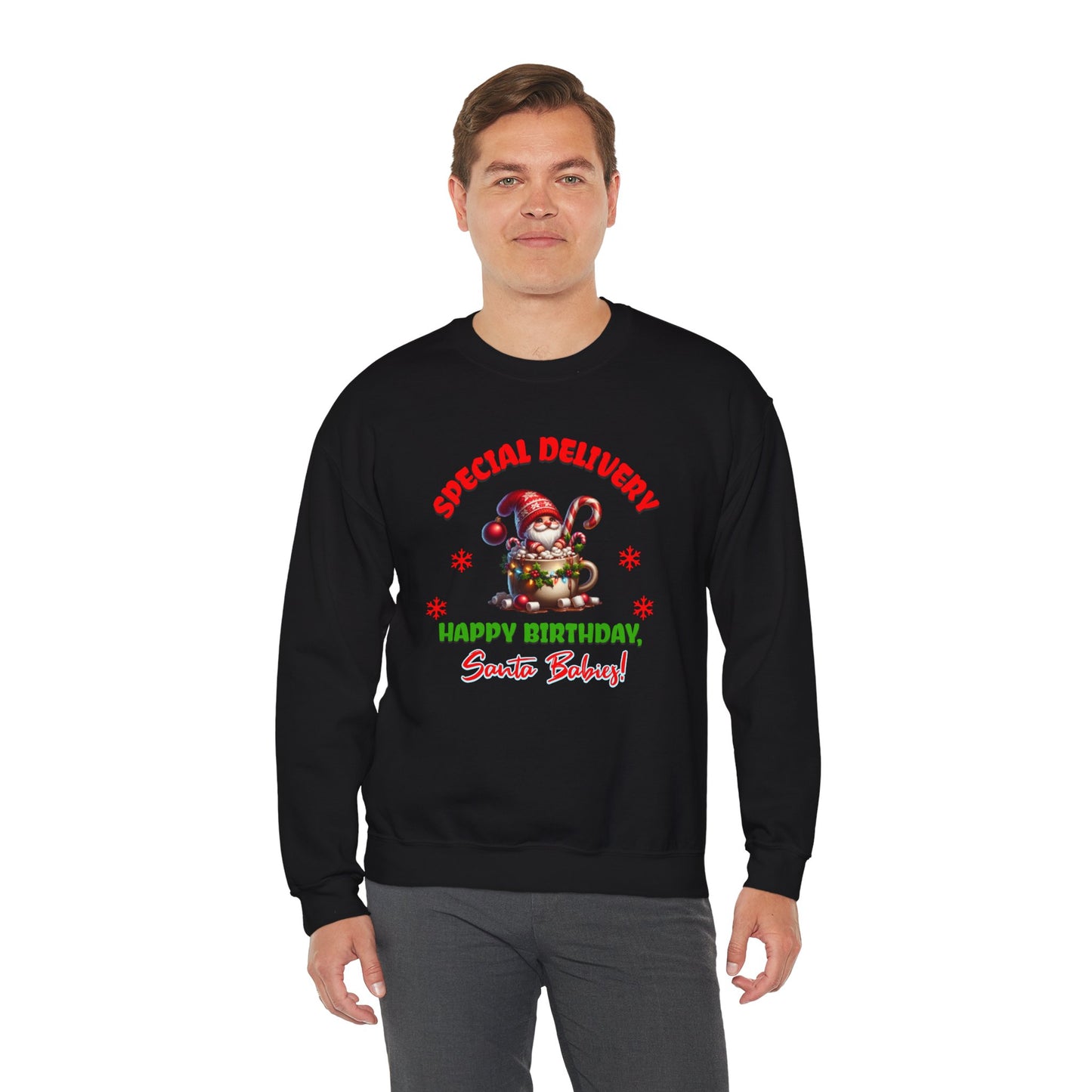 Special Delivery Holiday Babies Santa Sweatshirt