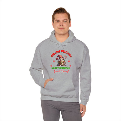 Special Delivery Santa Babies Hoodie Sweatshirt