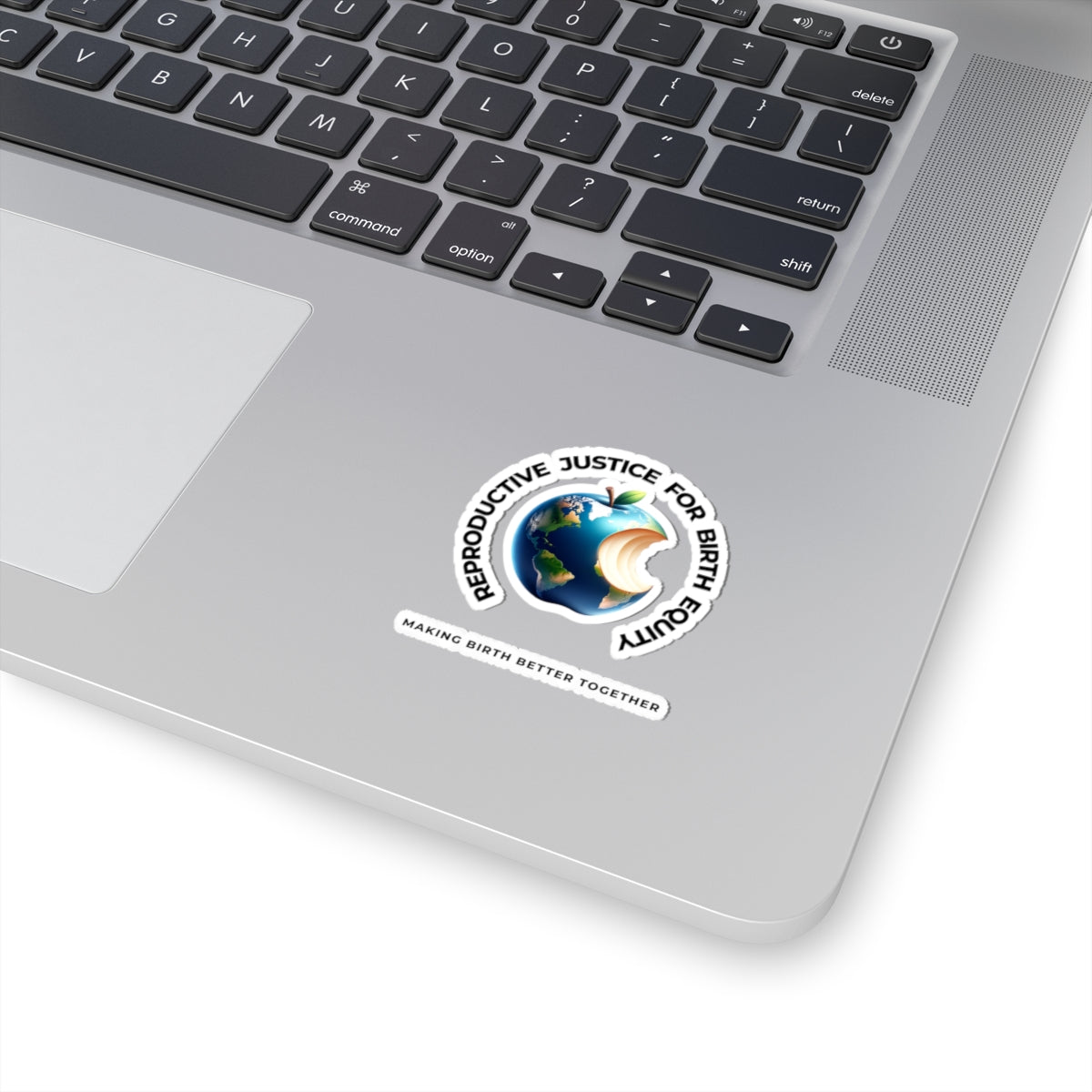 Reproductive Justice for Birth Equity World Sticker