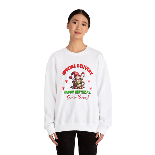 Special Delivery Holiday Babies Santa Sweatshirt