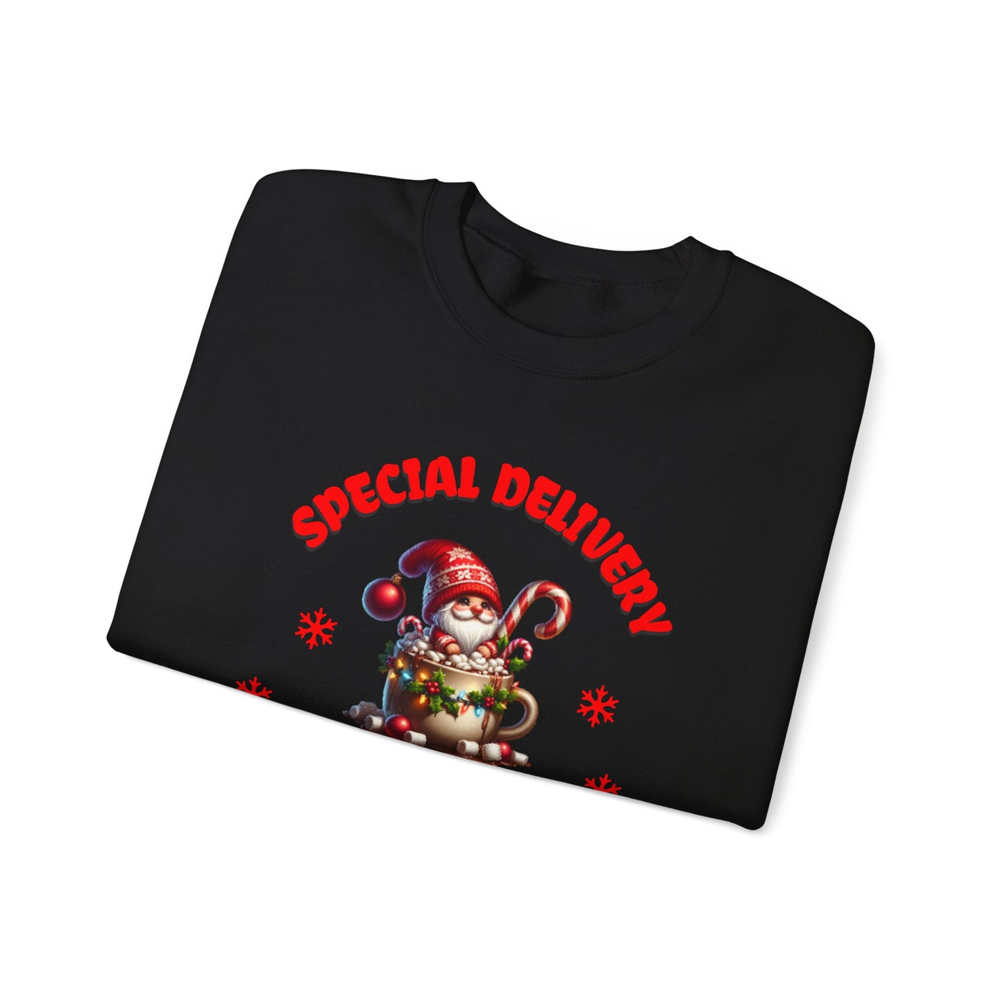 Special Delivery Holiday Babies Santa Sweatshirt