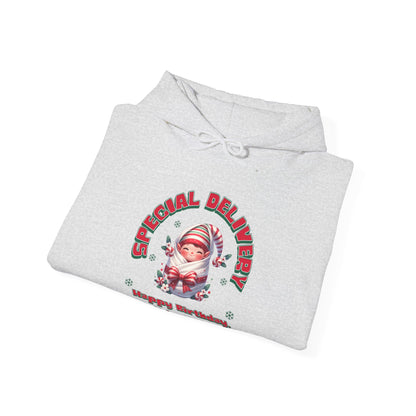 Special Delivery Holiday Baby Elf Hoodie Sweatshirt