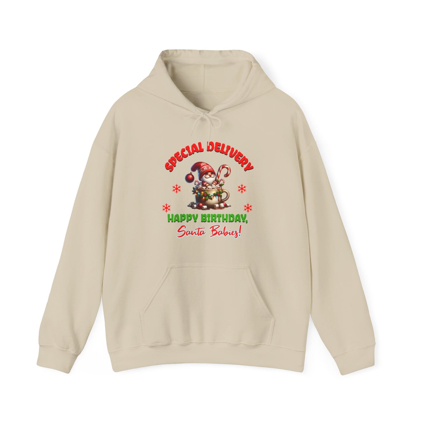 Special Delivery Santa Babies Hoodie Sweatshirt